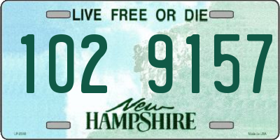 NH license plate 1029157