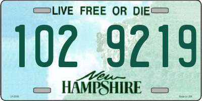 NH license plate 1029219