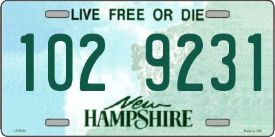 NH license plate 1029231
