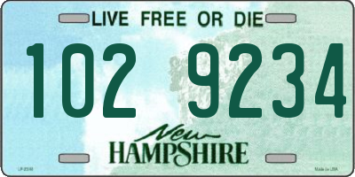 NH license plate 1029234