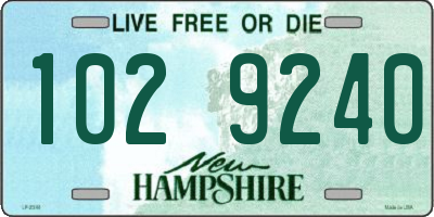NH license plate 1029240