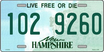 NH license plate 1029260