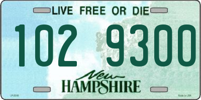 NH license plate 1029300