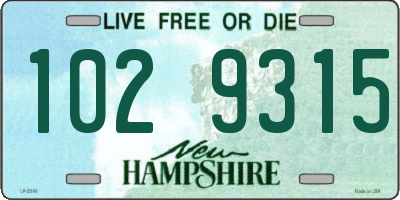NH license plate 1029315