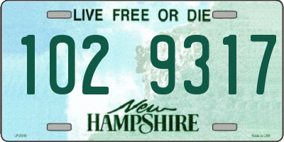 NH license plate 1029317
