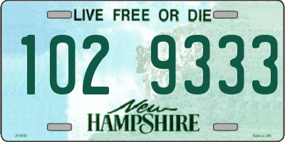 NH license plate 1029333