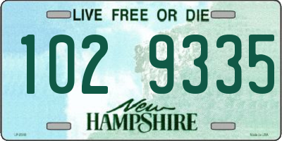 NH license plate 1029335