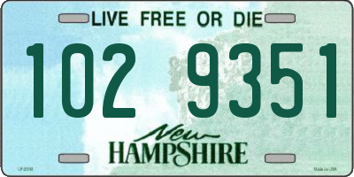 NH license plate 1029351