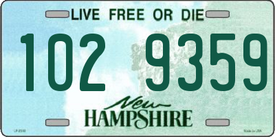 NH license plate 1029359