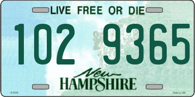NH license plate 1029365