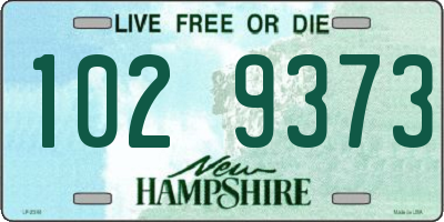 NH license plate 1029373