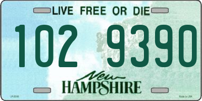 NH license plate 1029390