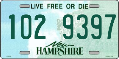 NH license plate 1029397
