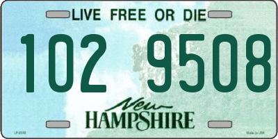 NH license plate 1029508