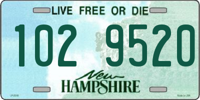 NH license plate 1029520