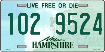 NH license plate 1029524