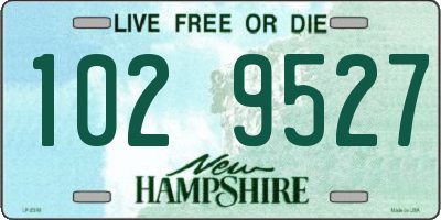 NH license plate 1029527