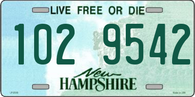 NH license plate 1029542
