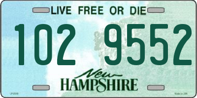 NH license plate 1029552