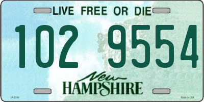 NH license plate 1029554