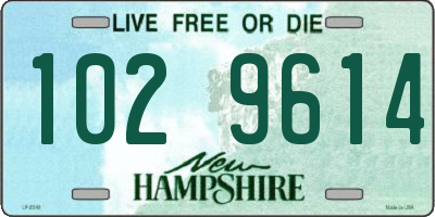 NH license plate 1029614