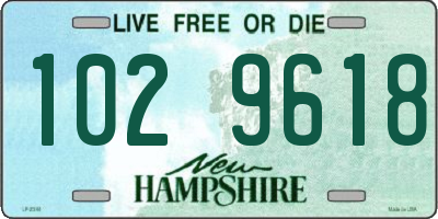 NH license plate 1029618