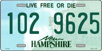 NH license plate 1029625