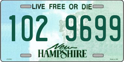 NH license plate 1029699