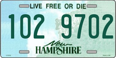 NH license plate 1029702