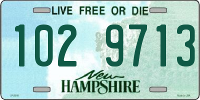 NH license plate 1029713