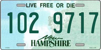 NH license plate 1029717