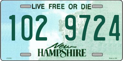 NH license plate 1029724