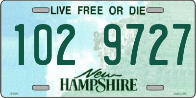 NH license plate 1029727