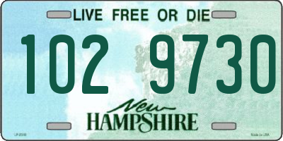 NH license plate 1029730