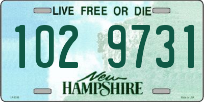 NH license plate 1029731