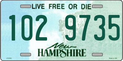 NH license plate 1029735