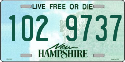 NH license plate 1029737