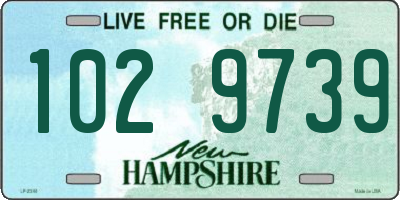 NH license plate 1029739