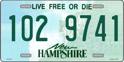 NH license plate 1029741