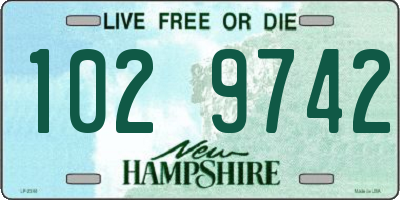 NH license plate 1029742