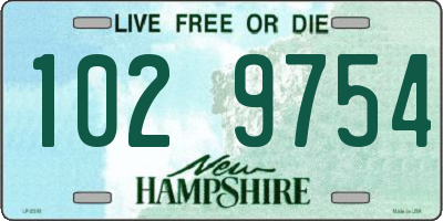 NH license plate 1029754