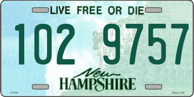 NH license plate 1029757