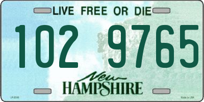 NH license plate 1029765