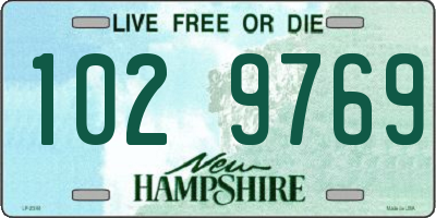 NH license plate 1029769