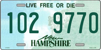 NH license plate 1029770