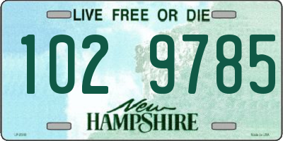 NH license plate 1029785