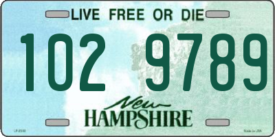 NH license plate 1029789