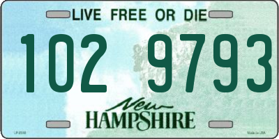 NH license plate 1029793