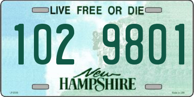 NH license plate 1029801