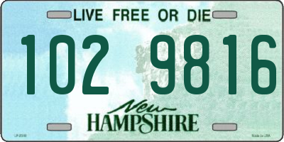 NH license plate 1029816